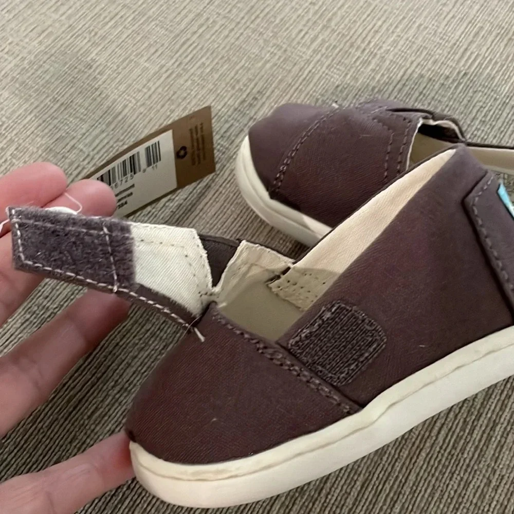 Toms Tiny Belmont Ash Canvas NEW